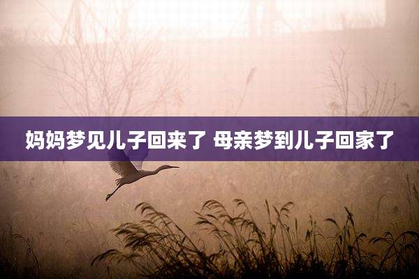 妈妈梦见儿子回来了 母亲梦到儿子回家了