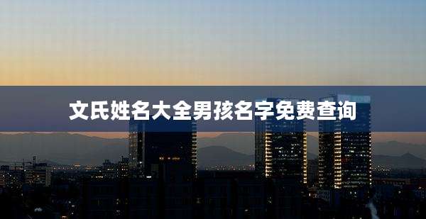 文氏姓名大全男孩名字免费查询