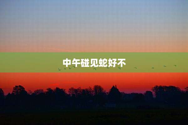 中午碰见蛇好不