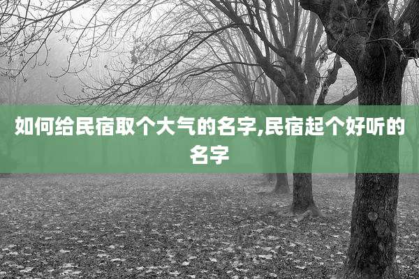 如何给民宿取个大气的名字,民宿起个好听的名字