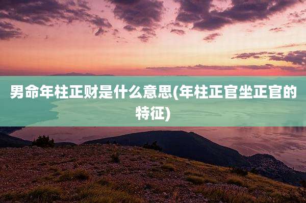 男命年柱正财是什么意思(年柱正官坐正官的特征)