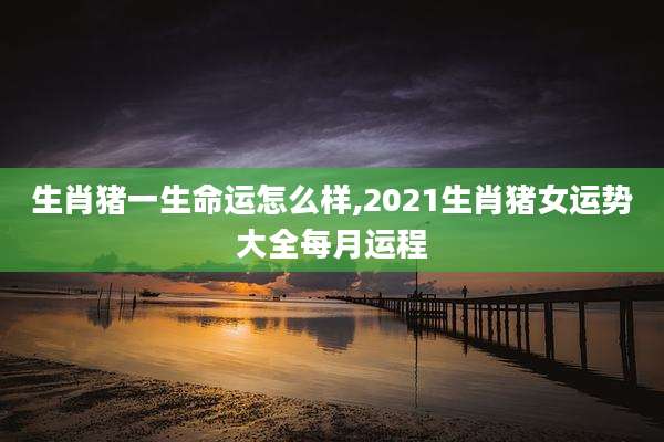 生肖猪一生命运怎么样,2021生肖猪女运势大全每月运程