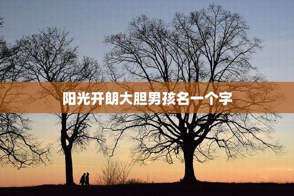 阳光开朗大胆男孩名一个字