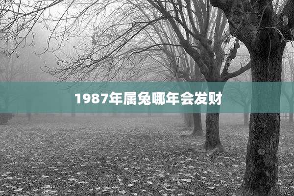 1987年属兔哪年会发财
