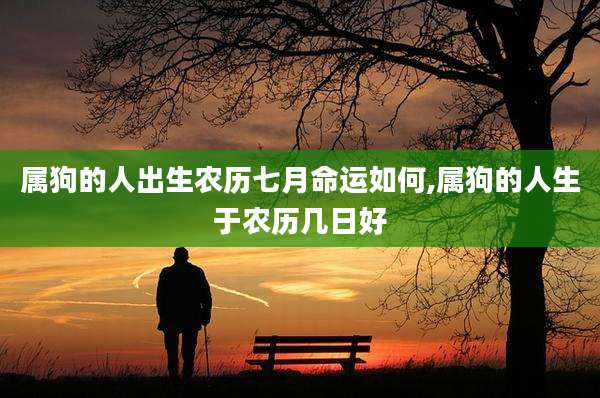 属狗的人出生农历七月命运如何,属狗的人生于农历几日好