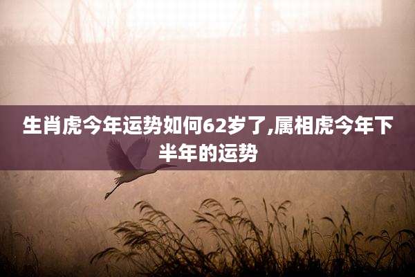 生肖虎今年运势如何62岁了,属相虎今年下半年的运势