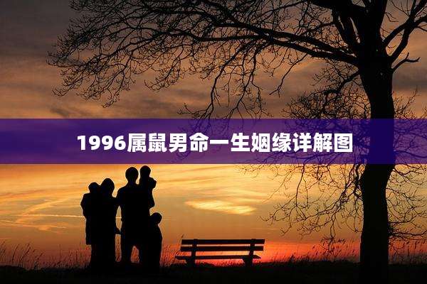 1996属鼠男命一生姻缘详解图