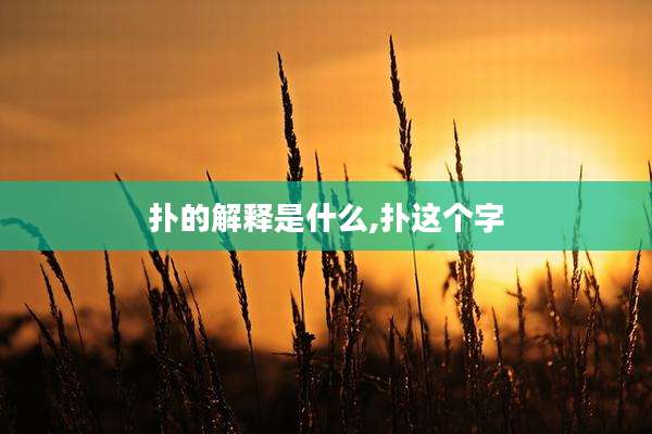 扑的解释是什么,扑这个字