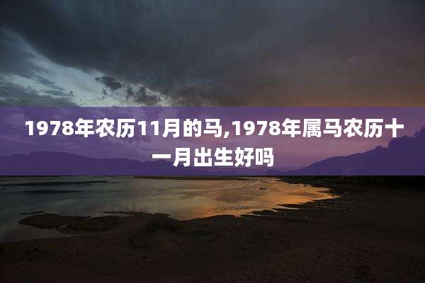 1978年农历11月的马,1978年属马农历十一月出生好吗