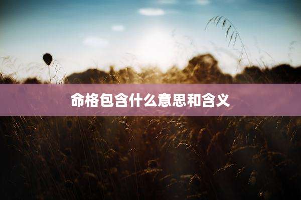 命格包含什么意思和含义