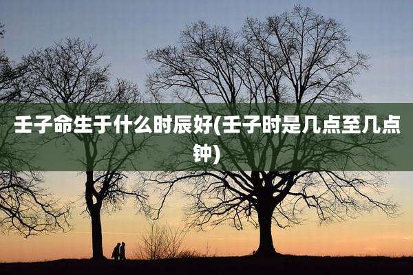 壬子命生于什么时辰好(壬子时是几点至几点钟)