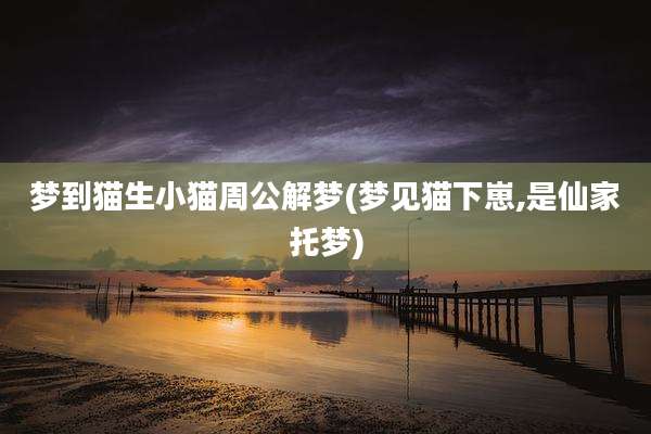 梦到猫生小猫周公解梦(梦见猫下崽,是仙家托梦)