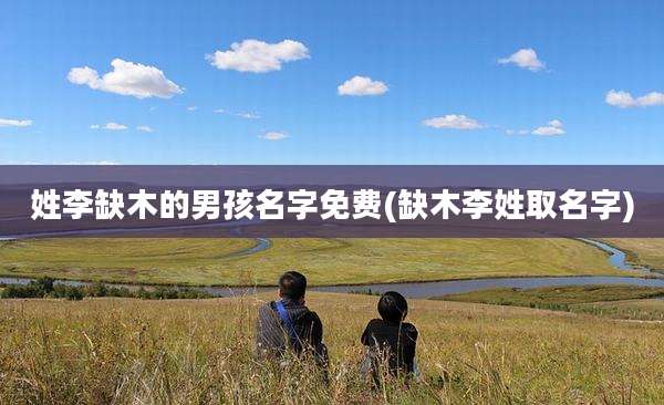 姓李缺木的男孩名字免费(缺木李姓取名字)
