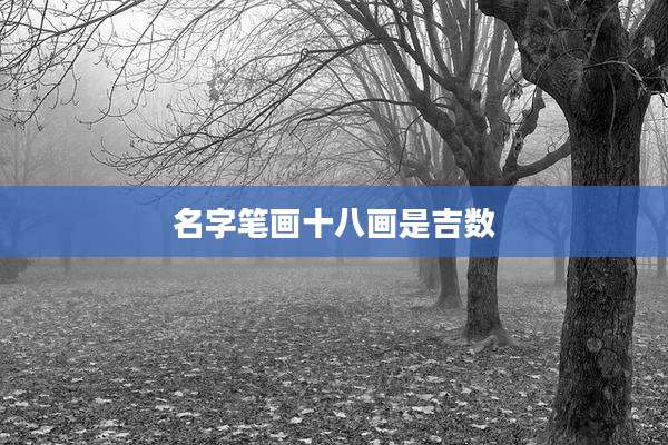 名字笔画十八画是吉数