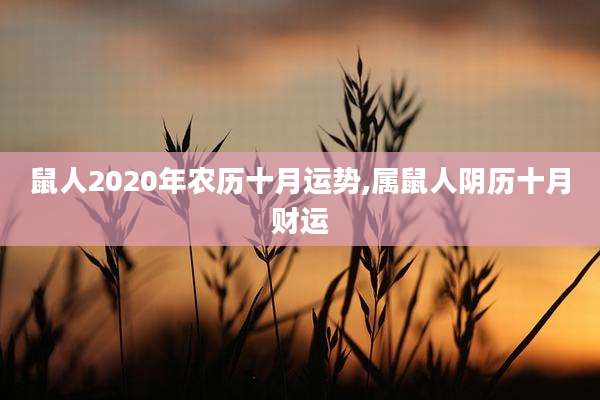 鼠人2020年农历十月运势,属鼠人阴历十月财运