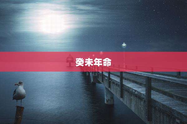 癸未年命