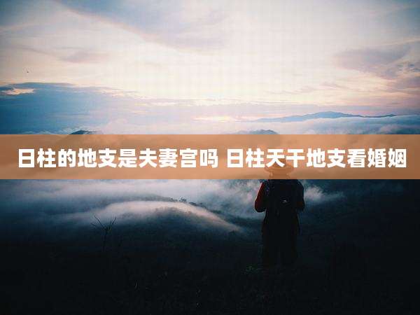 日柱的地支是夫妻宫吗 日柱天干地支看婚姻