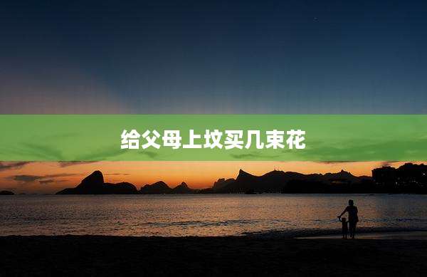 给父母上坟买几束花