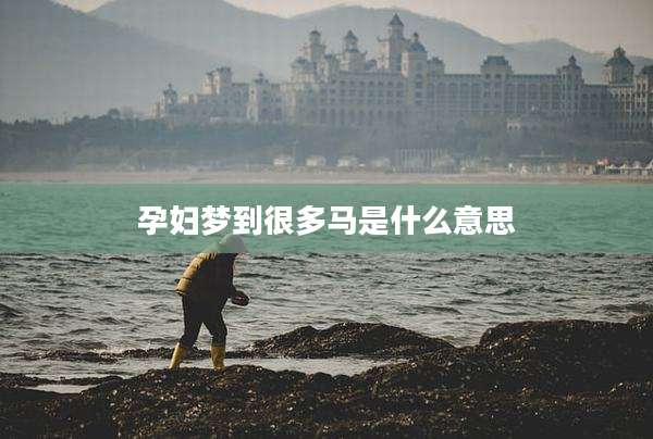 孕妇梦到很多马是什么意思