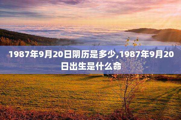 1987年9月20日阴历是多少,1987年9月20日出生是什么命