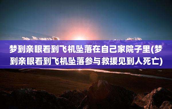 梦到亲眼看到飞机坠落在自己家院子里(梦到亲眼看到飞机坠落参与救援见到人死亡)