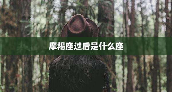 摩羯座过后是什么座