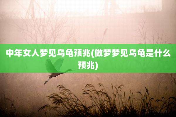 中年女人梦见乌龟预兆(做梦梦见乌龟是什么预兆)