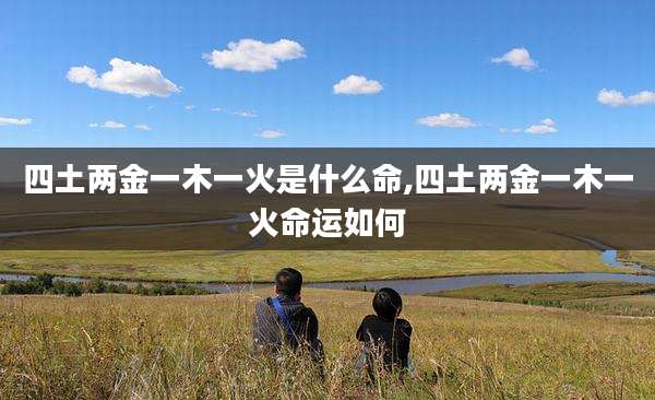 四土两金一木一火是什么命,四土两金一木一火命运如何