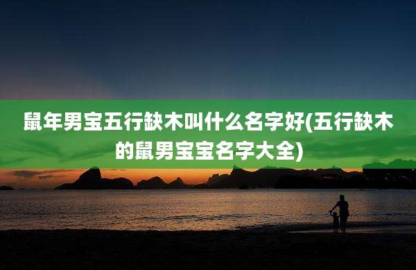 鼠年男宝五行缺木叫什么名字好(五行缺木的鼠男宝宝名字大全)