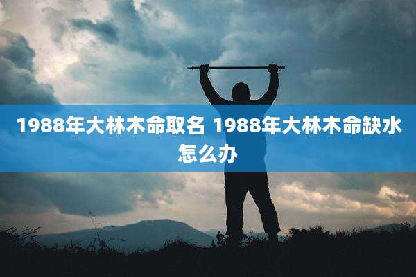 1988年大林木命取名 1988年大林木命缺水怎么办