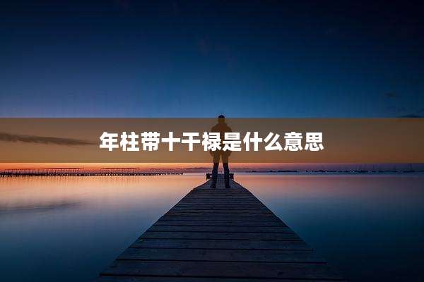 年柱带十干禄是什么意思