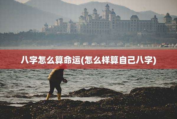 八字怎么算命运(怎么样算自己八字)