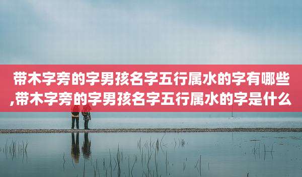 带木字旁的字男孩名字五行属水的字有哪些,带木字旁的字男孩名字五行属水的字是什么