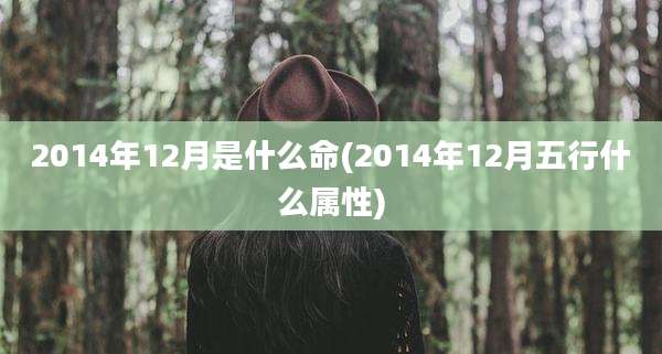 2014年12月是什么命(2014年12月五行什么属性)