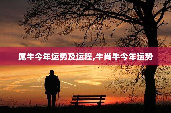 属牛今年运势及运程,牛肖牛今年运势