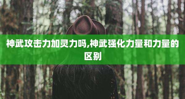神武攻击力加灵力吗,神武强化力量和力量的区别