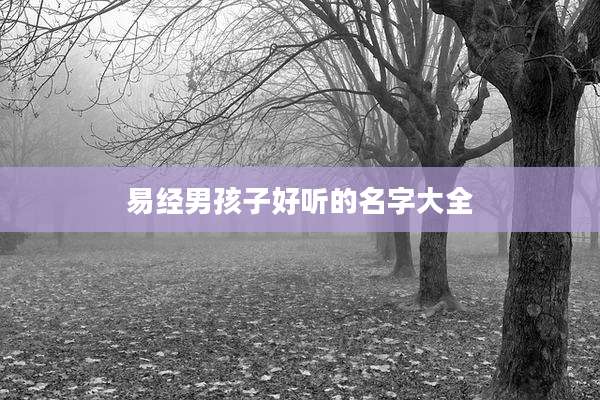 易经男孩子好听的名字大全