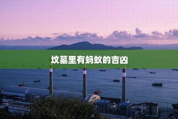 坟墓里有蚂蚁的吉凶