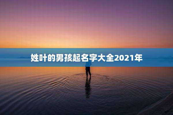 姓叶的男孩起名字大全2021年