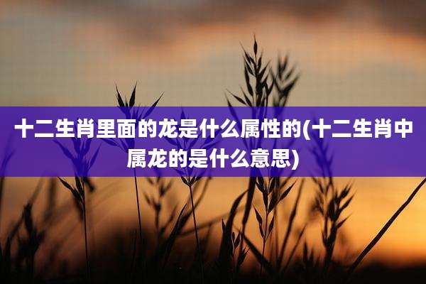 十二生肖里面的龙是什么属性的(十二生肖中属龙的是什么意思)