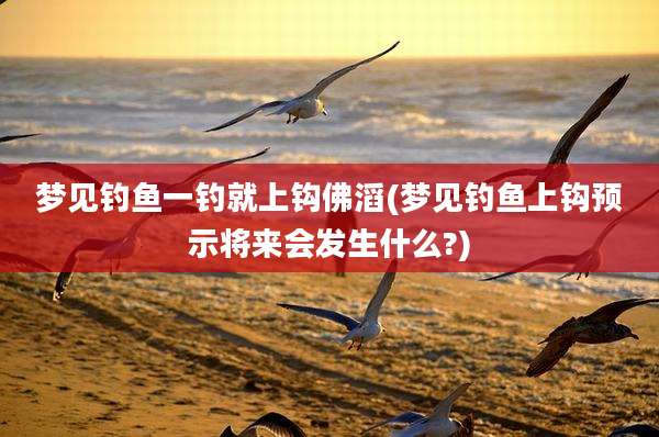 梦见钓鱼一钓就上钩佛滔(梦见钓鱼上钩预示将来会发生什么?)