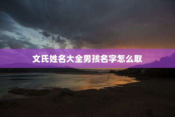 文氏姓名大全男孩名字怎么取