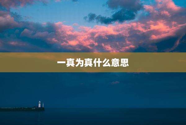 一真为真什么意思