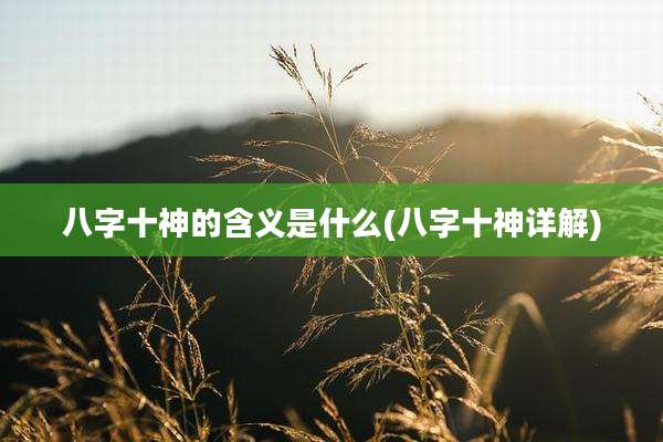 八字十神的含义是什么(八字十神详解)