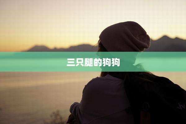三只腿的狗狗