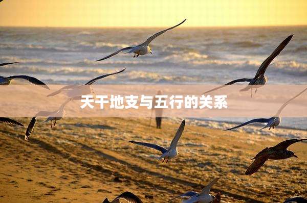 天干地支与五行的关系