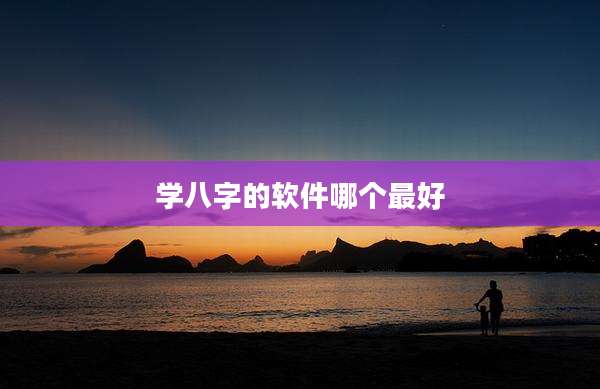 学八字的软件哪个最好