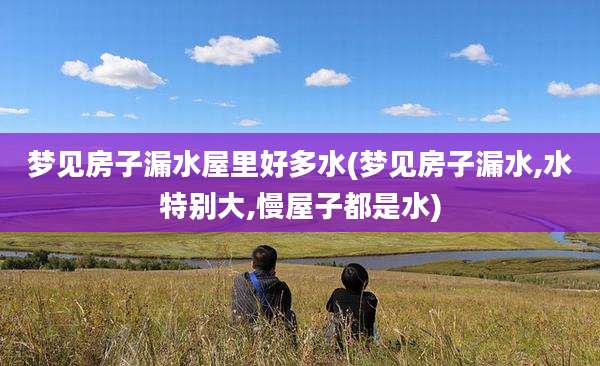 梦见房子漏水屋里好多水(梦见房子漏水,水特别大,慢屋子都是水)