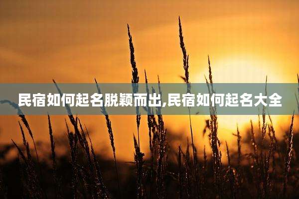 民宿如何起名脱颖而出,民宿如何起名大全