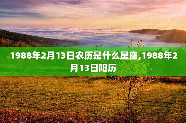 1988年2月13日农历是什么星座,1988年2月13日阳历